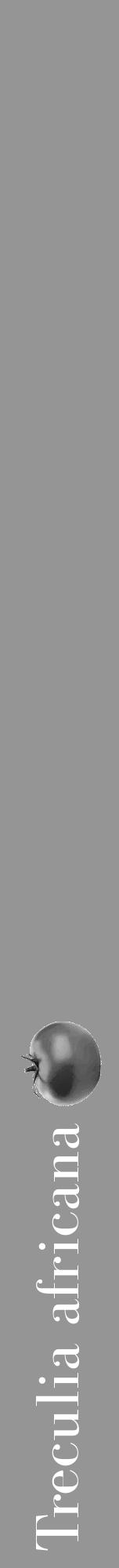 Étiquette de : Treculia africana - format a - style blanche16bod avec comestibilité simplifiée - position verticale