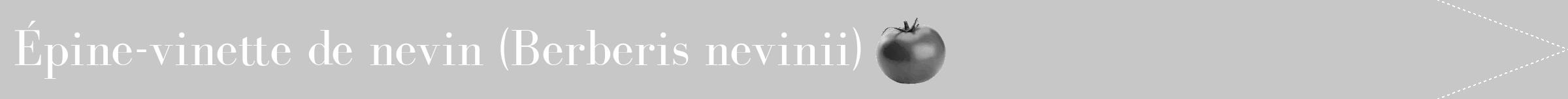 Étiquette de : Berberis nevinii - format b - style blanche15bod avec comestibilité simplifiée