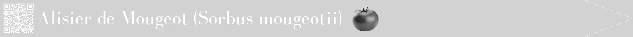 Étiquette de : Sorbus mougeotii - format b - style blanche14bod avec qrcode et comestibilité simplifiée
