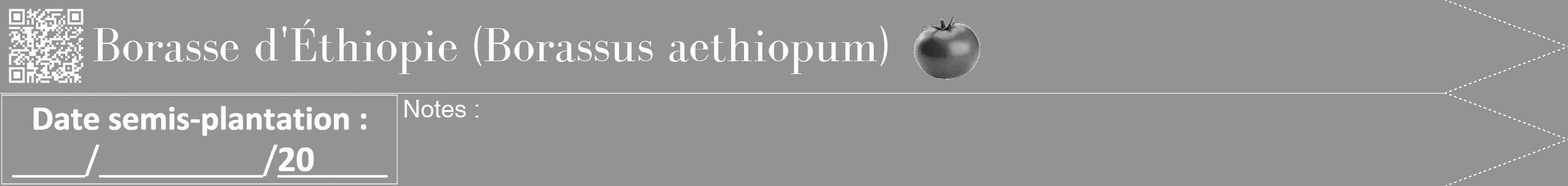 Étiquette de : Borassus aethiopum - format b - style blanche44simplebod avec qrcode et comestibilité simplifiée