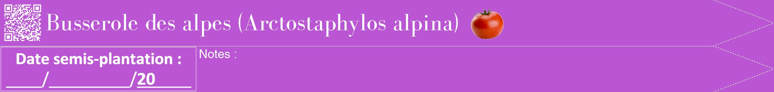 Étiquette de : Arctostaphylos alpina - format b - style blanche50bod avec qrcode et comestibilité simplifiée