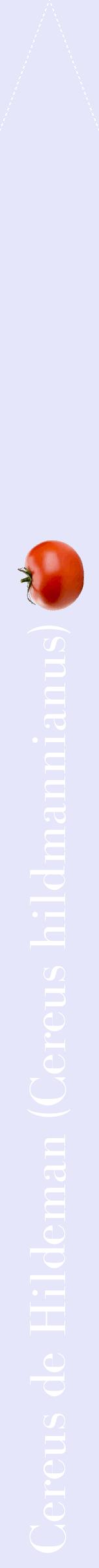 Étiquette de : Cereus hildmannianus - format b - style blanche55bod avec comestibilité simplifiée