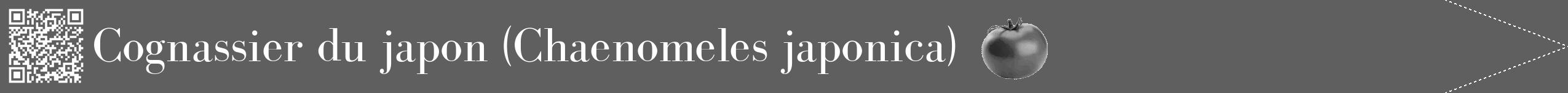 Étiquette de : Chaenomeles japonica - format b - style blanche10bod avec qrcode et comestibilité simplifiée