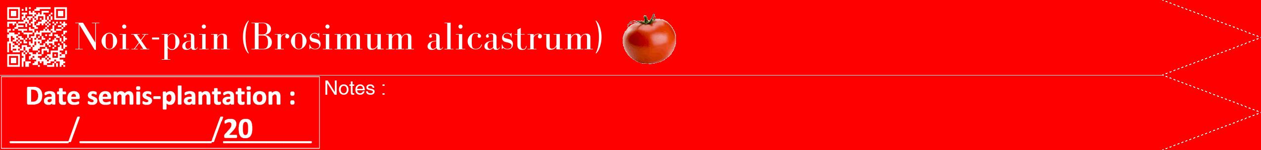 Étiquette de : Brosimum alicastrum - format b - style blanche27bod avec qrcode et comestibilité simplifiée