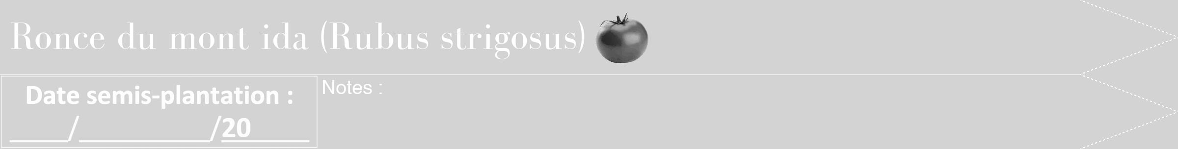 Étiquette de : Rubus strigosus - format b - style blanche56bod avec comestibilité simplifiée