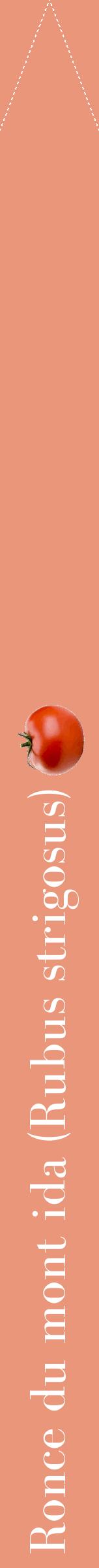 Étiquette de : Rubus strigosus - format b - style blanche37bod avec comestibilité simplifiée