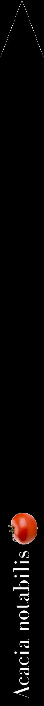 Étiquette de : Acacia notabilis - format b - style blanche59bod avec comestibilité simplifiée