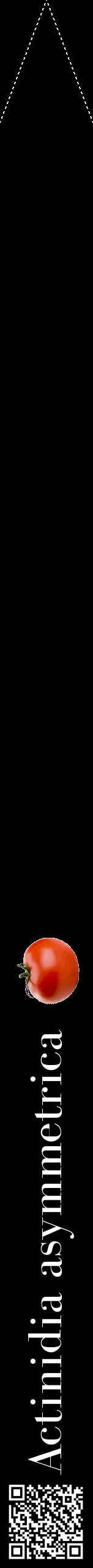 Étiquette de : Actinidia asymmetrica - format b - style blanche59bod avec qrcode et comestibilité simplifiée