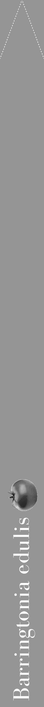 Étiquette de : Barringtonia edulis - format b - style blanche16bod avec comestibilité simplifiée - position verticale