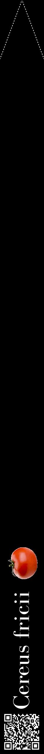 Étiquette de : Cereus fricii - format b - style blanche59bod avec qrcode et comestibilité simplifiée