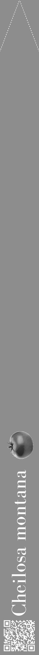 Étiquette de : Cheilosa montana - format b - style blanche2bod avec qrcode et comestibilité simplifiée - position verticale