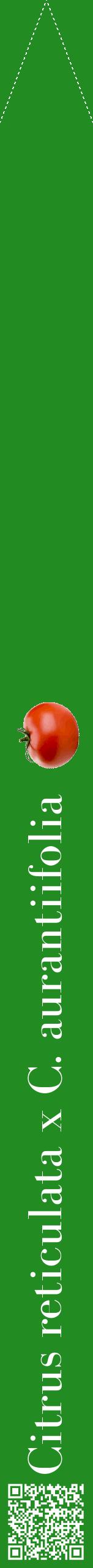 Étiquette de : Citrus reticulata x C. aurantiifolia - format b - style blanche10bod avec qrcode et comestibilité simplifiée