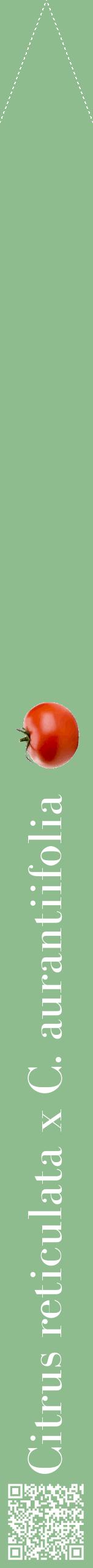 Étiquette de : Citrus reticulata x C. aurantiifolia - format b - style blanche13bod avec qrcode et comestibilité simplifiée