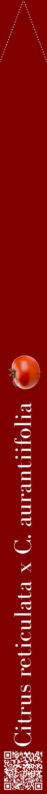 Étiquette de : Citrus reticulata x C. aurantiifolia - format b - style blanche29bod avec qrcode et comestibilité simplifiée