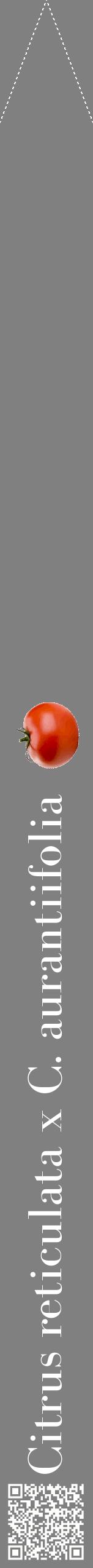 Étiquette de : Citrus reticulata x C. aurantiifolia - format b - style blanche57bod avec qrcode et comestibilité simplifiée