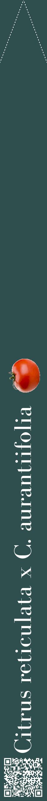 Étiquette de : Citrus reticulata x C. aurantiifolia - format b - style blanche58bod avec qrcode et comestibilité simplifiée