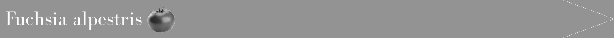 Étiquette de : Fuchsia alpestris - format b - style blanche44bod avec comestibilité simplifiée