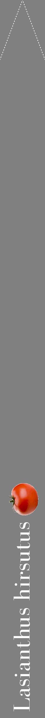 Étiquette de : Lasianthus hirsutus - format b - style blanche57bod avec comestibilité simplifiée
