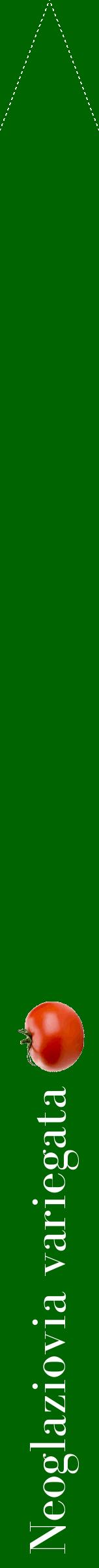 Étiquette de : Neoglaziovia variegata - format b - style blanche8bod avec comestibilité simplifiée