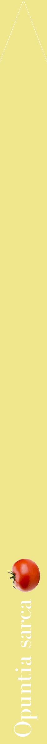 Étiquette de : Opuntia sarca - format b - style blanche20bod avec comestibilité simplifiée