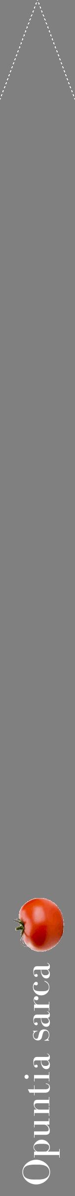 Étiquette de : Opuntia sarca - format b - style blanche57bod avec comestibilité simplifiée