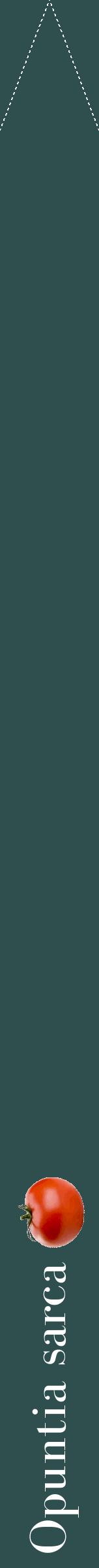 Étiquette de : Opuntia sarca - format b - style blanche58bod avec comestibilité simplifiée