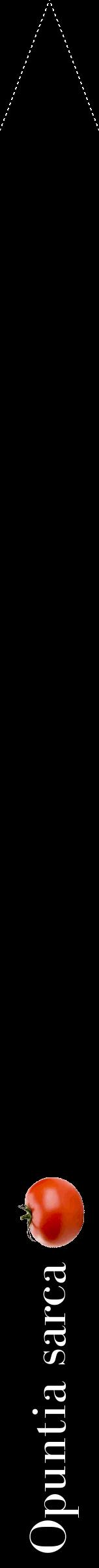 Étiquette de : Opuntia sarca - format b - style blanche59bod avec comestibilité simplifiée