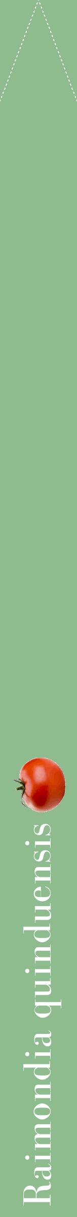 Étiquette de : Raimondia quinduensis - format b - style blanche13bod avec comestibilité simplifiée