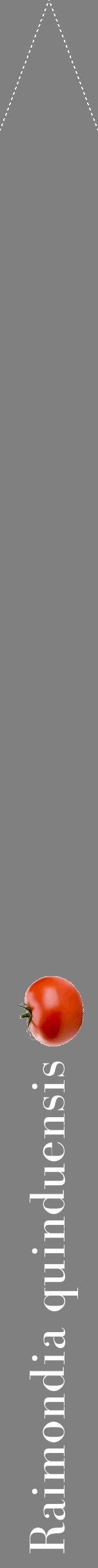 Étiquette de : Raimondia quinduensis - format b - style blanche57bod avec comestibilité simplifiée