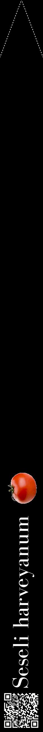 Étiquette de : Seseli harveyanum - format b - style blanche59bod avec qrcode et comestibilité simplifiée