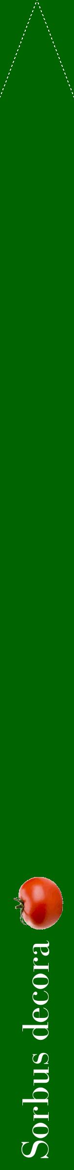 Étiquette de : Sorbus decora - format b - style blanche8bod avec comestibilité simplifiée