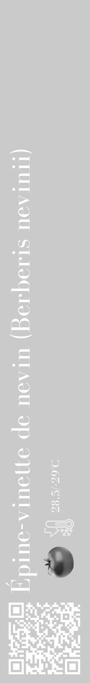 Étiquette de : Berberis nevinii - format c - style blanche21_basique_basiquebod avec qrcode et comestibilité simplifiée - position verticale