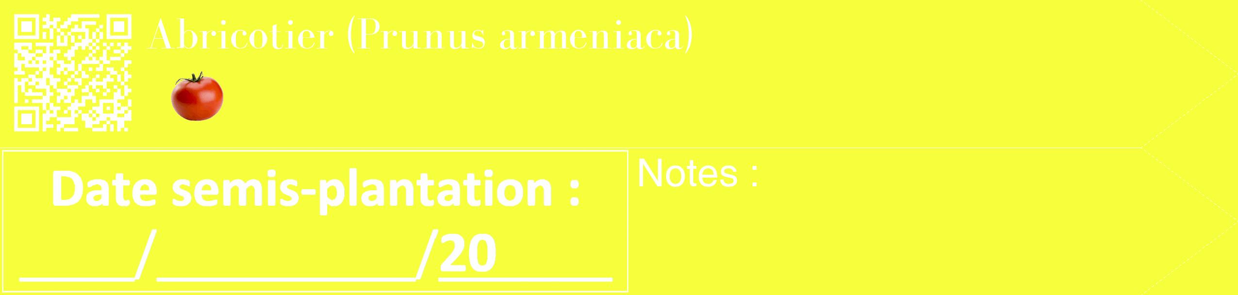 Étiquette de : Prunus armeniaca - format c - style blanche18_simple_simplebod avec qrcode et comestibilité simplifiée