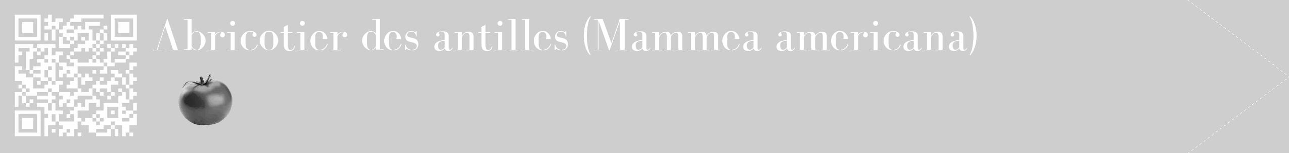 Étiquette de : Mammea americana - format c - style blanche17_simple_simplebod avec qrcode et comestibilité simplifiée