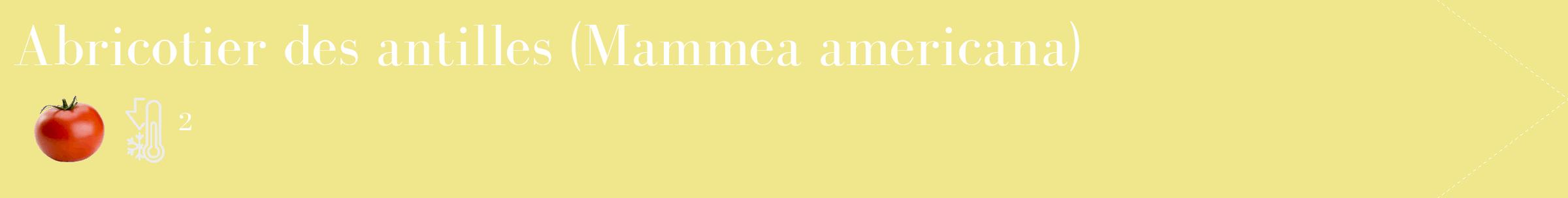 Étiquette de : Mammea americana - format c - style blanche20_simple_simplebod avec comestibilité simplifiée