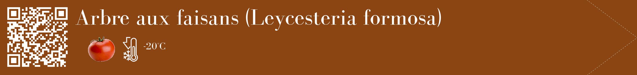 Étiquette de : Leycesteria formosa - format c - style blanche30_simple_simplebod avec qrcode et comestibilité simplifiée