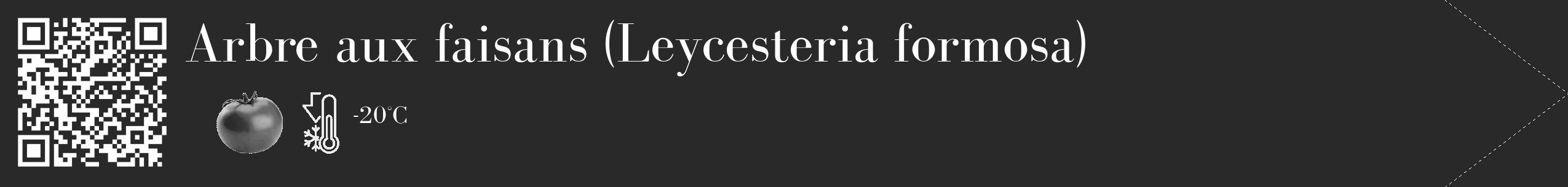 Étiquette de : Leycesteria formosa - format c - style blanche34_simple_simplebod avec qrcode et comestibilité simplifiée