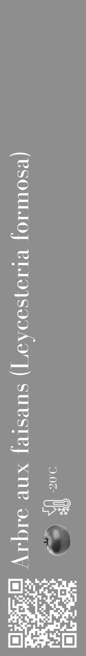 Étiquette de : Leycesteria formosa - format c - style blanche25_basique_basiquebod avec qrcode et comestibilité simplifiée - position verticale