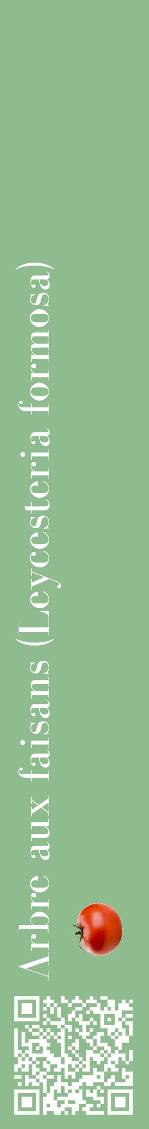 Étiquette de : Leycesteria formosa - format c - style blanche13_basiquebod avec qrcode et comestibilité simplifiée