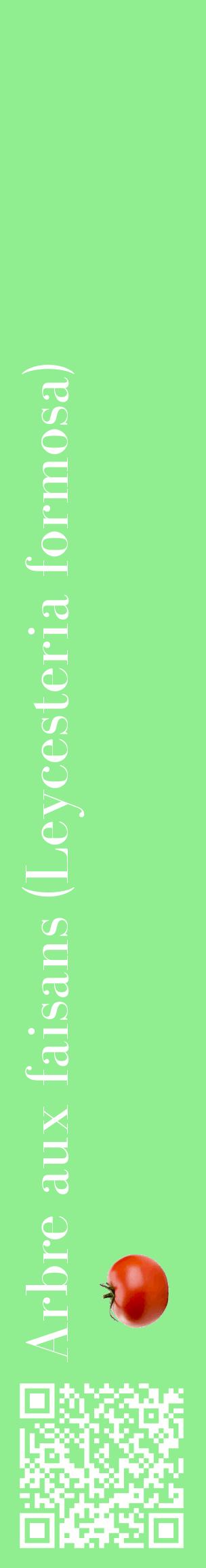 Étiquette de : Leycesteria formosa - format c - style blanche15_basiquebod avec qrcode et comestibilité simplifiée