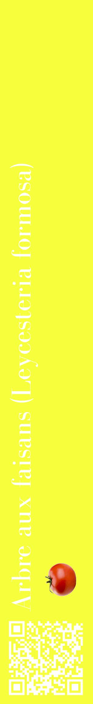 Étiquette de : Leycesteria formosa - format c - style blanche18_basiquebod avec qrcode et comestibilité simplifiée