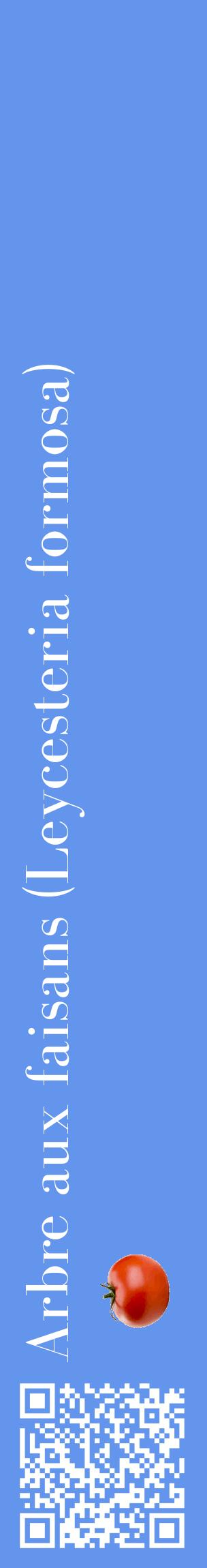 Étiquette de : Leycesteria formosa - format c - style blanche4_basiquebod avec qrcode et comestibilité simplifiée