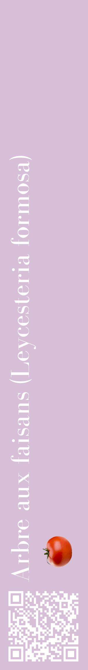 Étiquette de : Leycesteria formosa - format c - style blanche54_basiquebod avec qrcode et comestibilité simplifiée