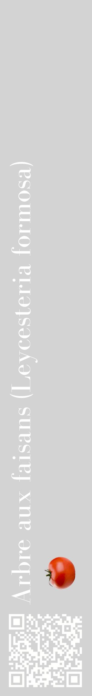 Étiquette de : Leycesteria formosa - format c - style blanche56_basiquebod avec qrcode et comestibilité simplifiée