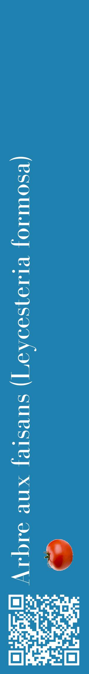 Étiquette de : Leycesteria formosa - format c - style blanche6_basiquebod avec qrcode et comestibilité simplifiée