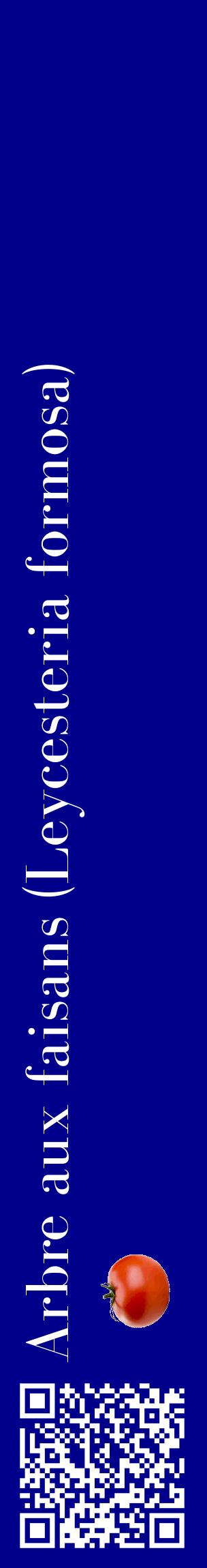 Étiquette de : Leycesteria formosa - format c - style blanche7_basiquebod avec qrcode et comestibilité simplifiée