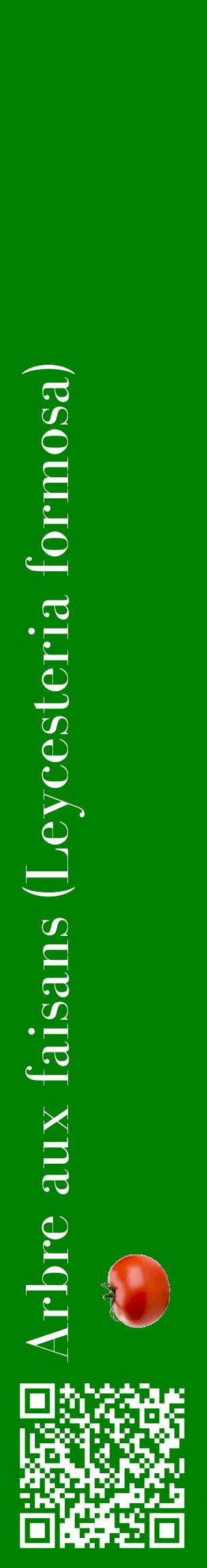 Étiquette de : Leycesteria formosa - format c - style blanche9_basiquebod avec qrcode et comestibilité simplifiée