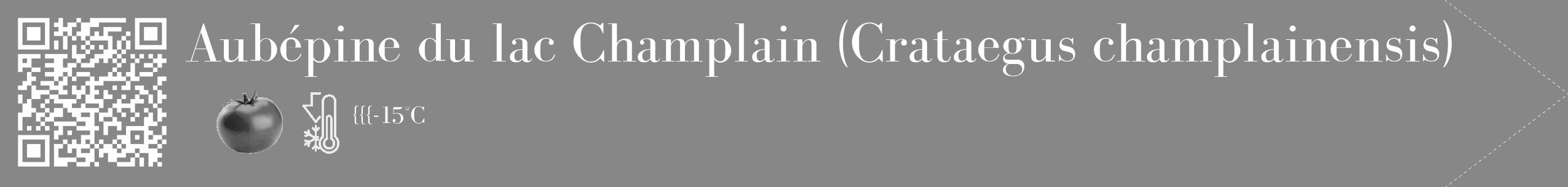 Étiquette de : Crataegus champlainensis - format c - style blanche12_simple_simplebod avec qrcode et comestibilité simplifiée