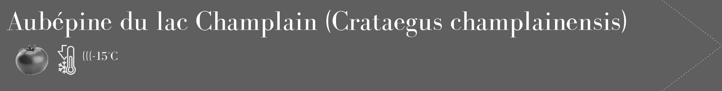 Étiquette de : Crataegus champlainensis - format c - style blanche10_simple_simplebod avec comestibilité simplifiée