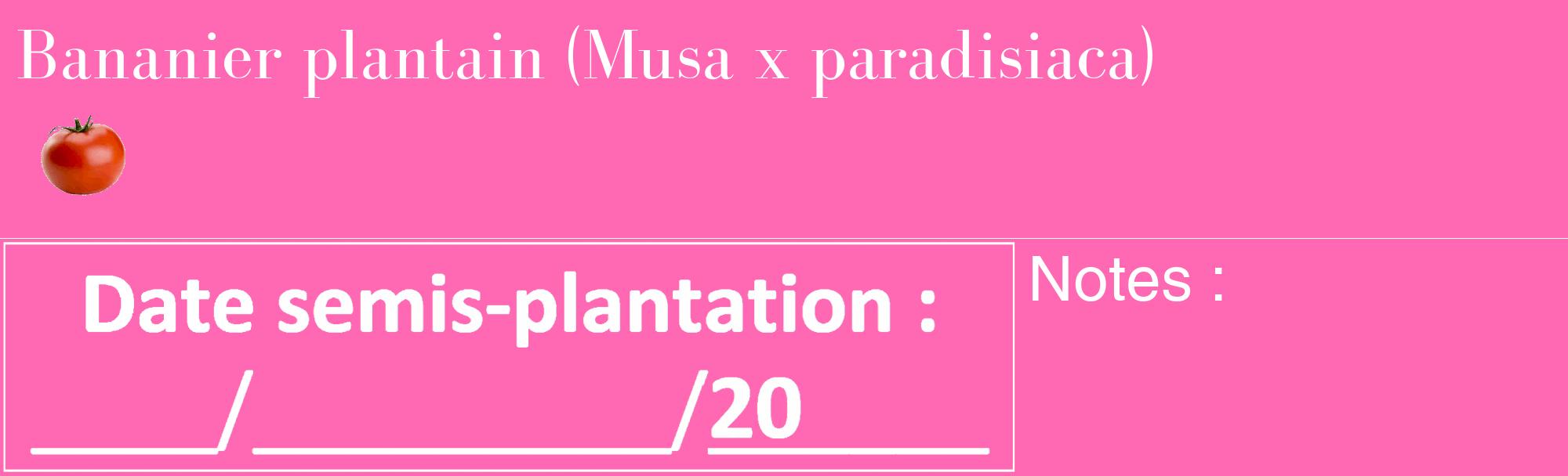 Étiquette de : Musa x paradisiaca - format c - style blanche42_basique_basiquebod avec comestibilité simplifiée